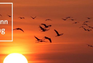 Die Heinz-Sielmann-Stiftung unterhält Leuchtturm-Projekte des Naturschutzes.