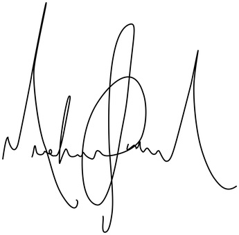 Die Unterschrift von Pop- und Rock-Star Michael Jackson im Aussehen einer Fieberkurve.