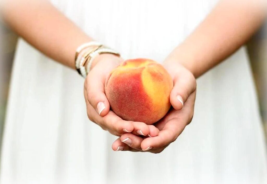 Zwei Hände halten einen reifen Pfirsich.